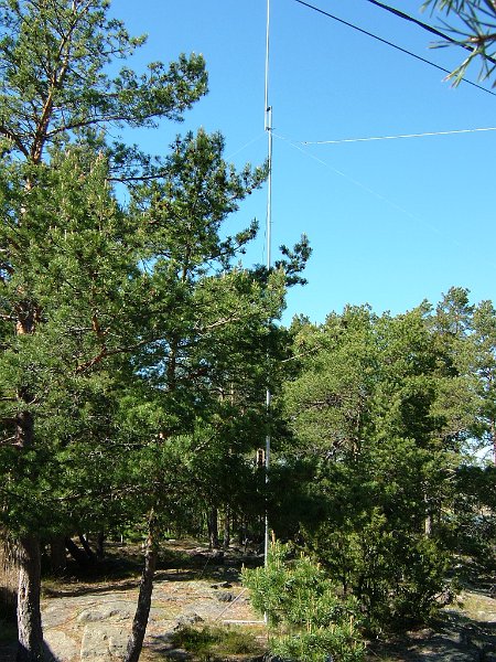 DSCF1548.JPG - Die Antenne