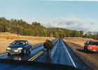 2000-03 0441  "Tatonka" Buffalo in Yellowstone