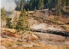 2000-03 0444  Geyser Basin in Yellowstone