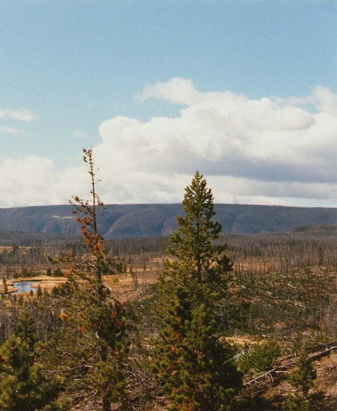 1997-10_0428.jpg - Yellowstone