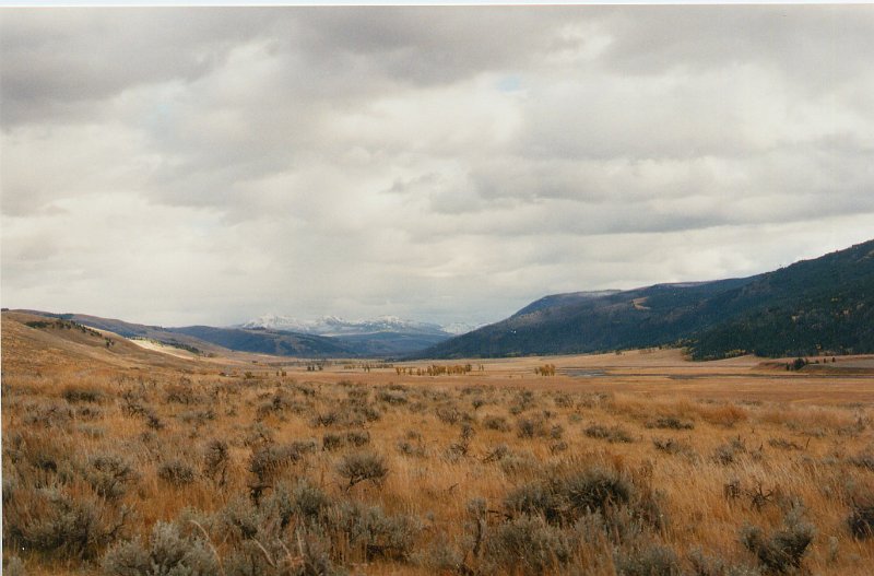 1997-10_0438.jpg - Lamar Valley in Yellowstone
