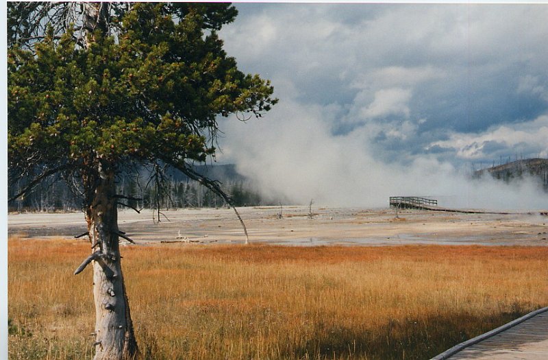2000-03_0438.jpg - Geyser Basin in Yellowstone