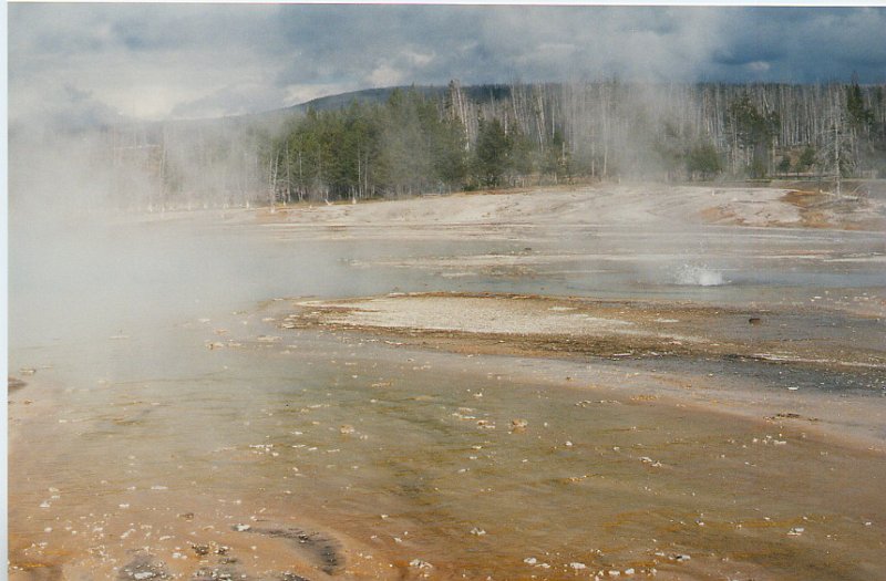 2000-03_0440.jpg - Geyser Basin in Yellowstone