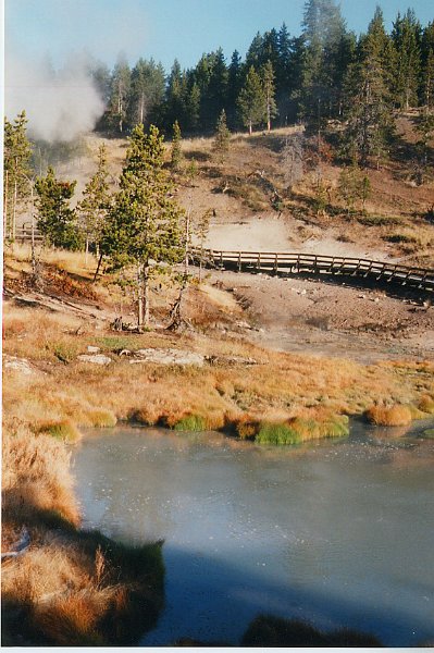 2000-03_0444.jpg - Geyser Basin in Yellowstone