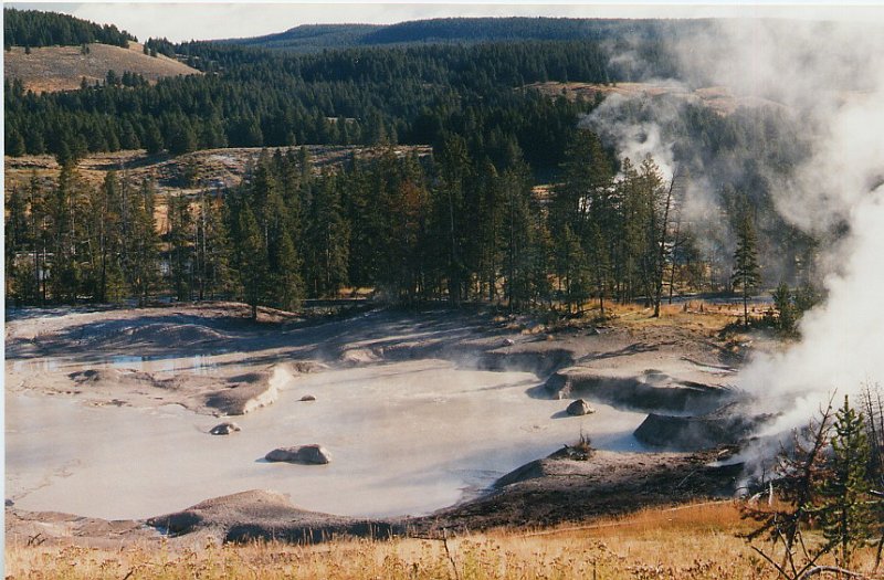 2000-03_0445.jpg - Geyser Basin in Yellowstone